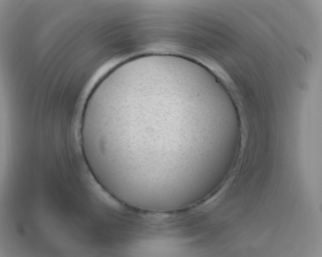 X0000113901248200910081823