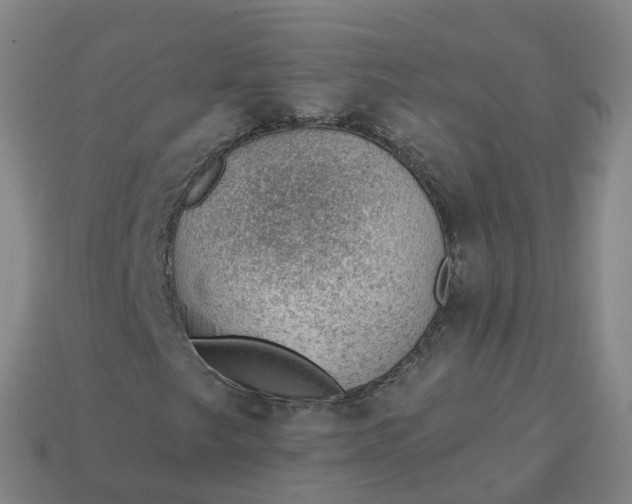 X0000113901249200910081822