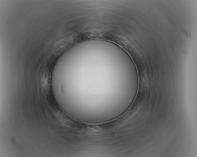 X0000113901250200910081822