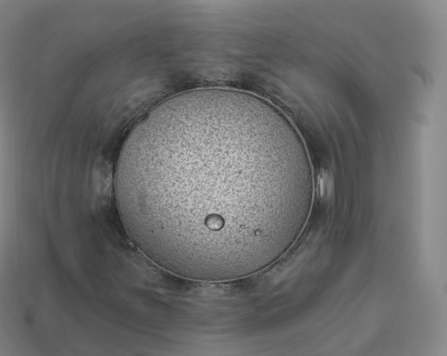 X0000113901251200910081822