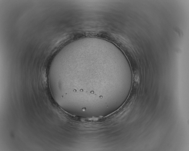 X0000113901252200910081822