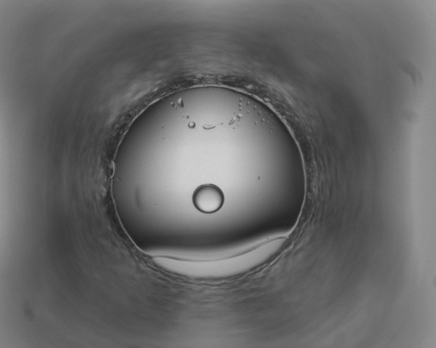 X0000113901253200910081822