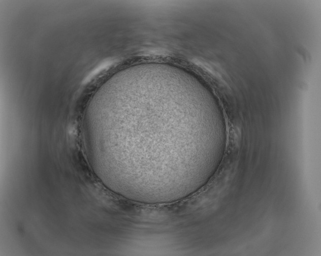 X0000113901254200910081822