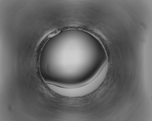 X0000113901256200910081822