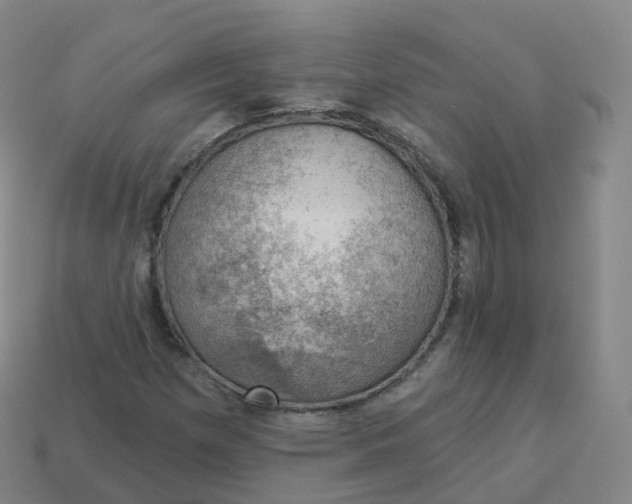 X0000113901257200910081822