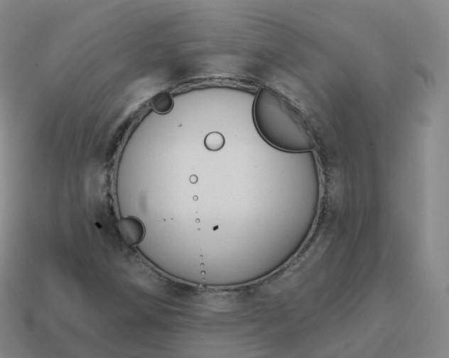 X0000113901258200910081822