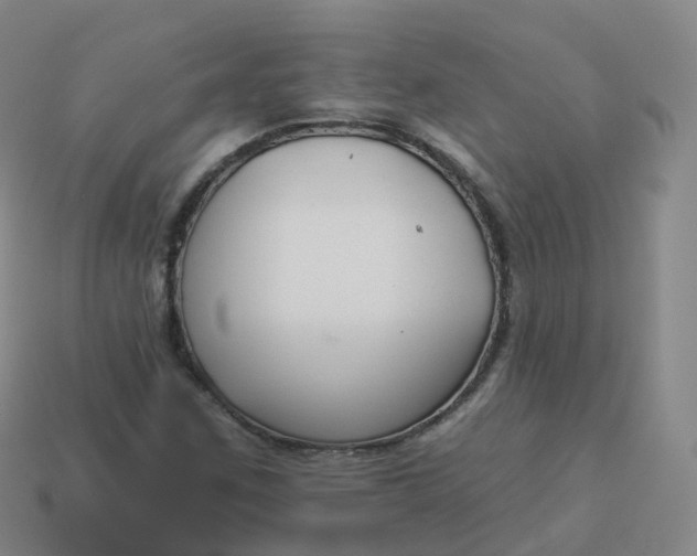 X0000113901259200910081822