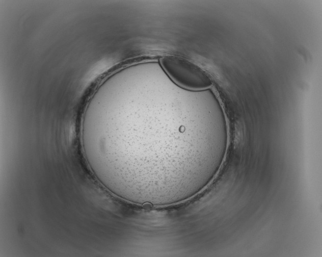 X0000113901261200910081822