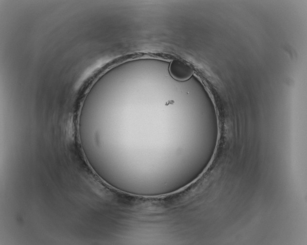 X0000113901262200910081822