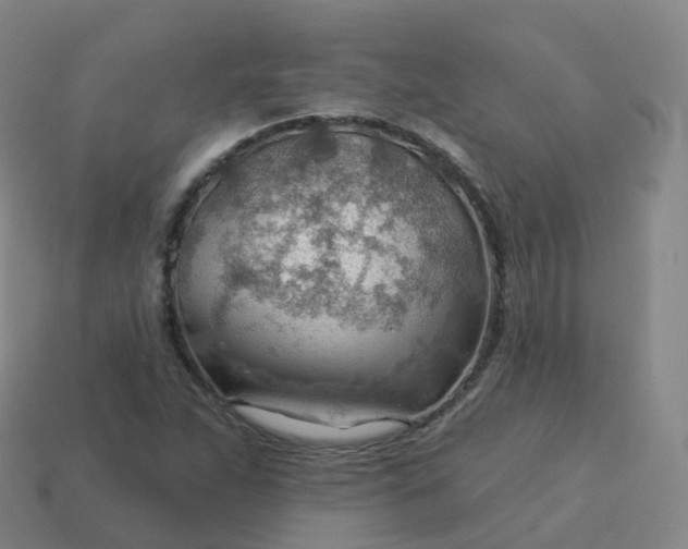 X0000113901263200910081822