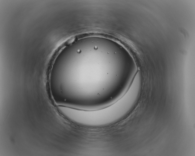 X0000113901264200910081822