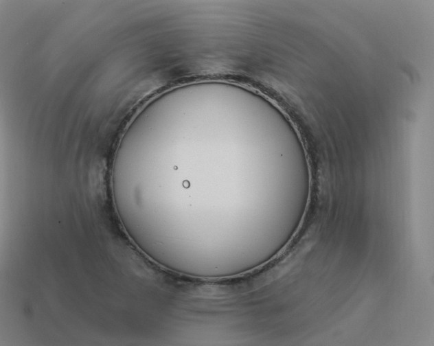 X0000113901265200910081822