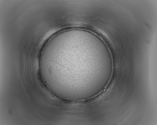 X0000113901267200910081822