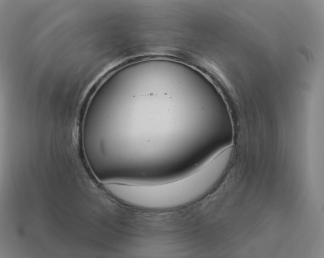 X0000113901268200910081822