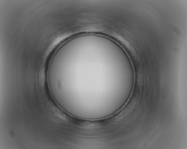 X0000113901270200910081822