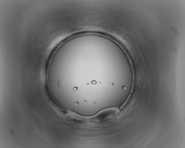 X0000113901271200910081821