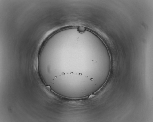 X0000113901272200910081821