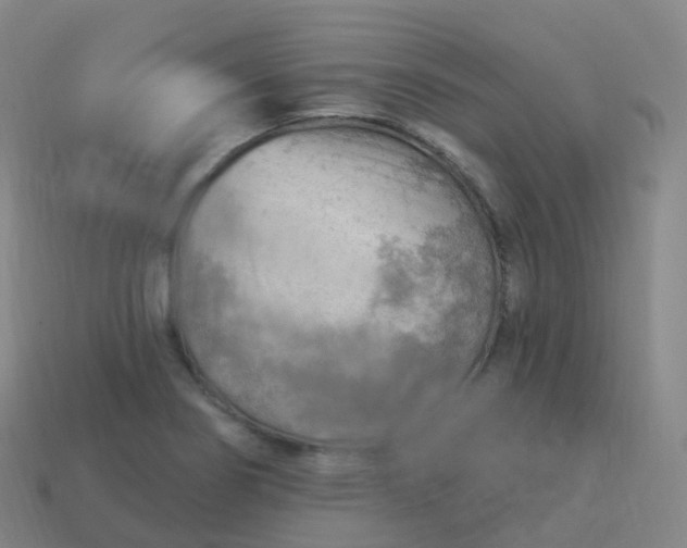 X0000113901274200910081821