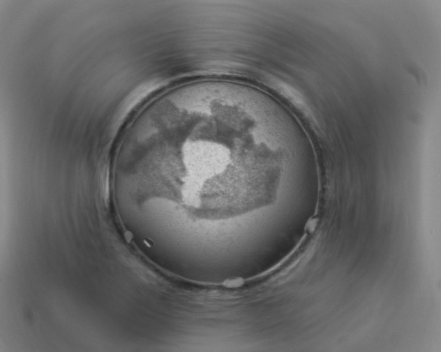 X0000113901275200910081821