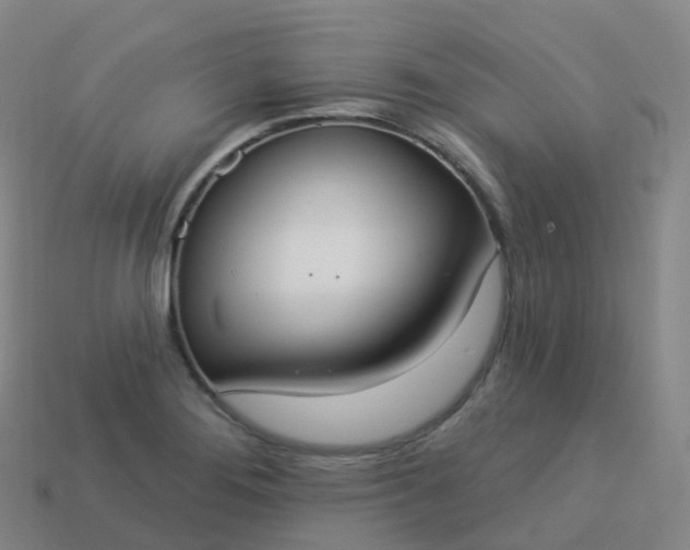 X0000113901276200910081821