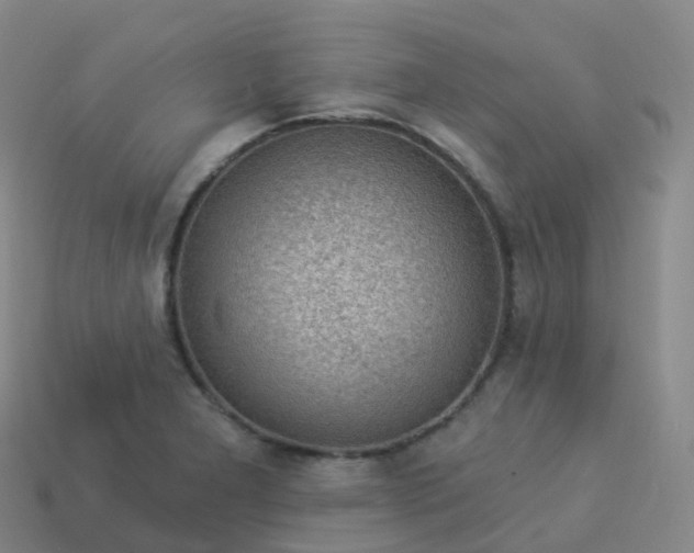 X0000113901277200910081821