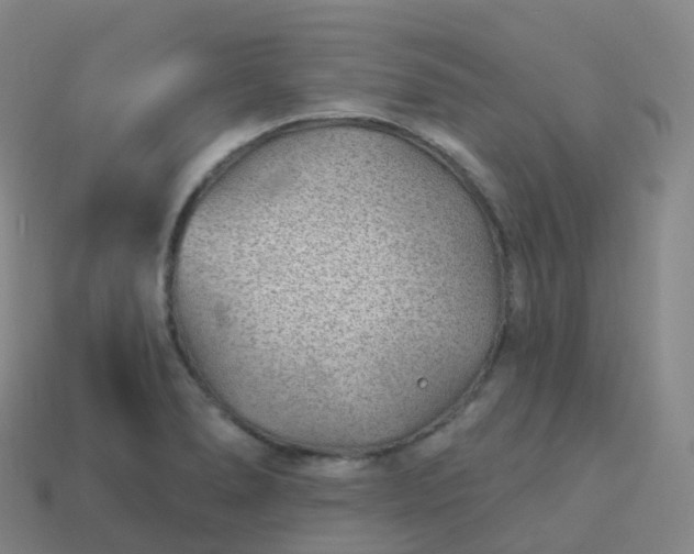 X0000113901278200910081821