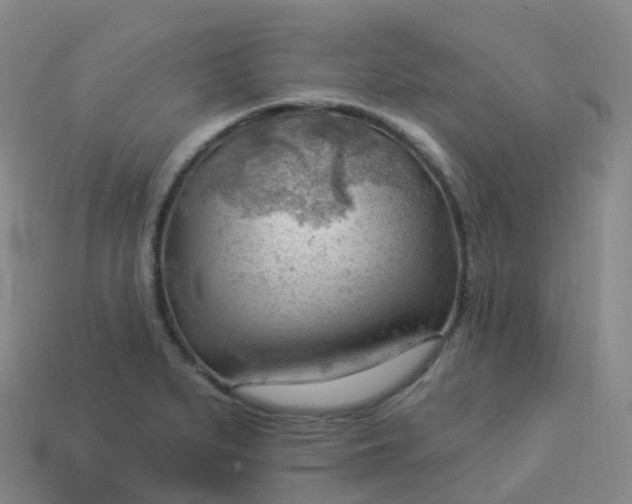 X0000113901279200910081821