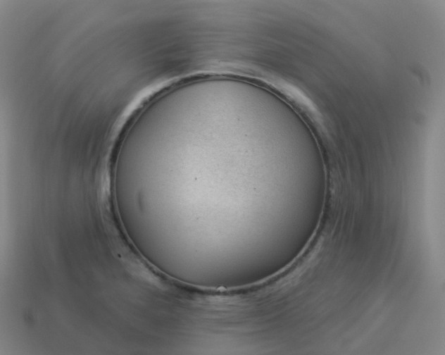 X0000113901280200910081821