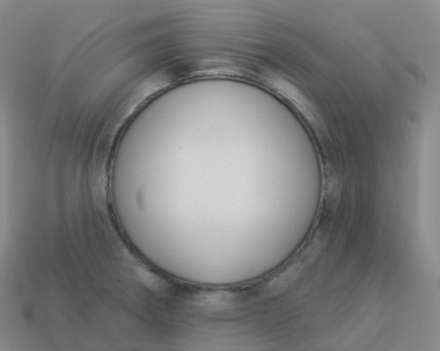 X0000113901282200910081821