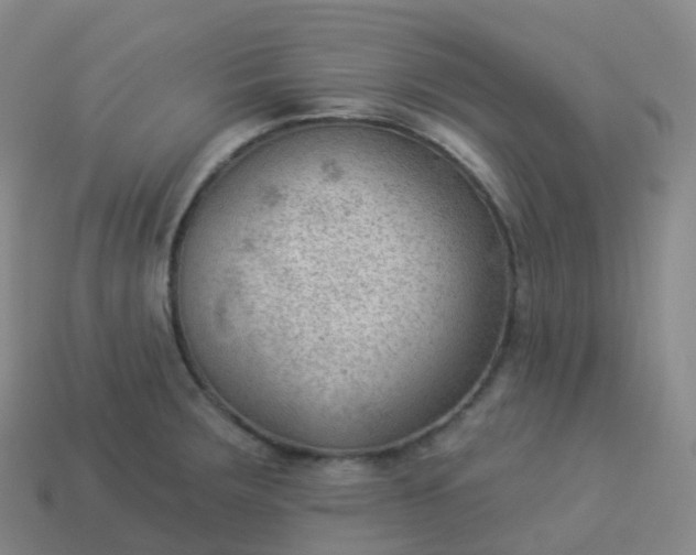 X0000113901283200910081821