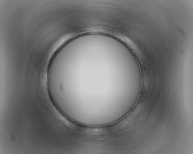 X0000113901286200910081821