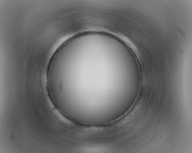 X0000113901287200910081821