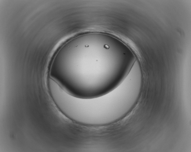 X0000113901288200910081821