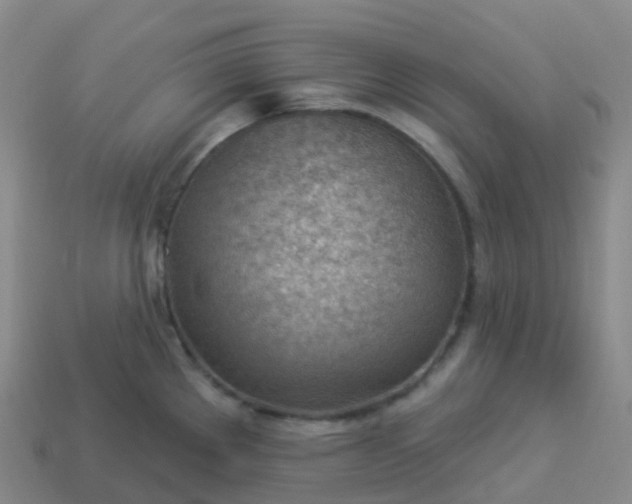 X0000113901289200910081821