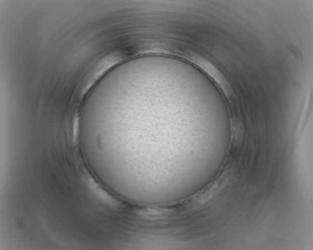 X0000113901290200910081821