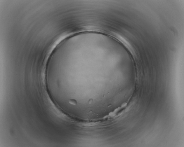 X0000113901291200910081821