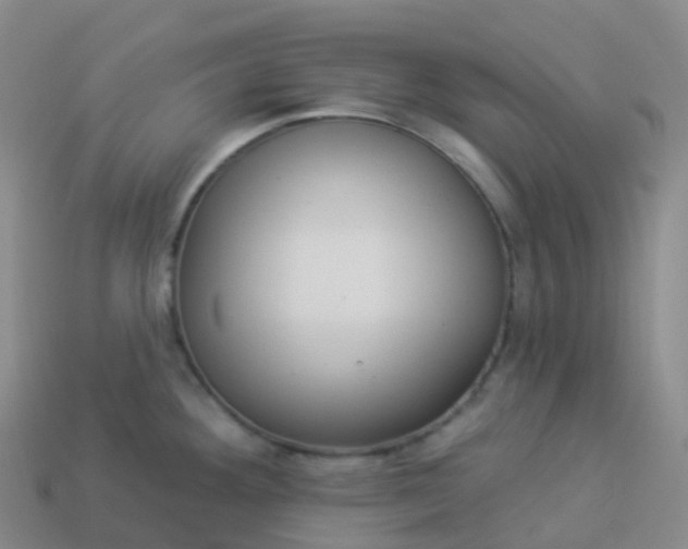 X0000113901292200910081821