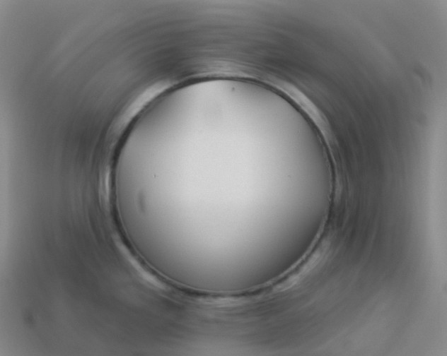 X0000113901293200910081821