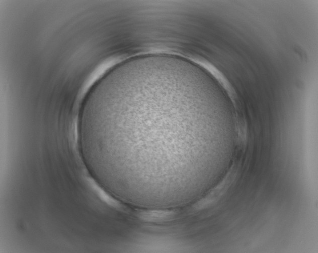 X0000113901294200910081821