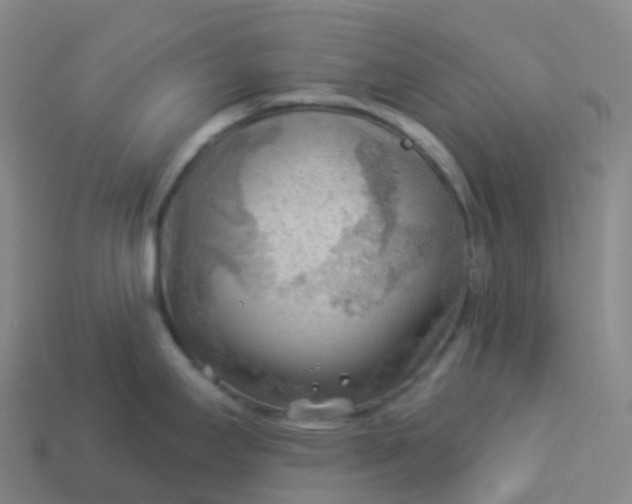 X0000113901295200910081821