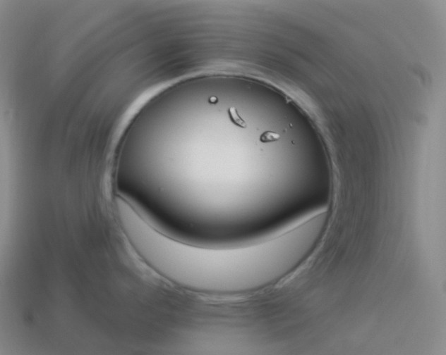 X0000113901296200910081821