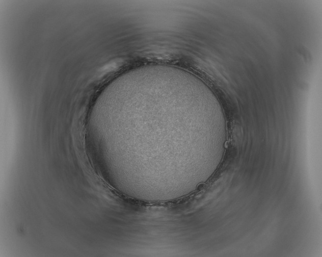 X0000113901297200910081820