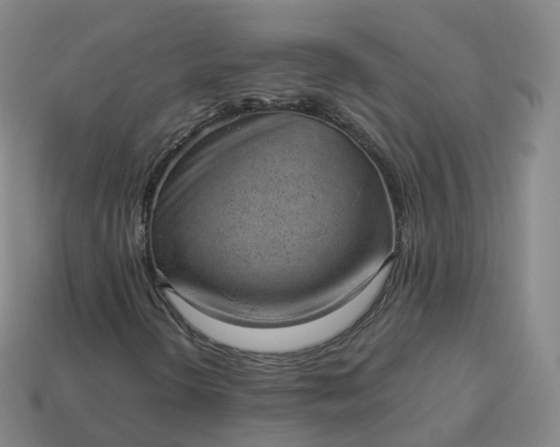 X0000113901298200910081820