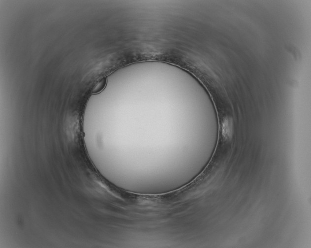 X0000113901299200910081820