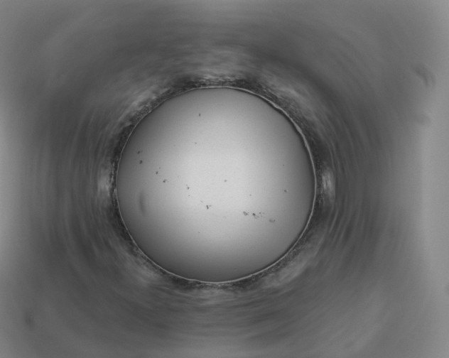 X0000113901300200910081820