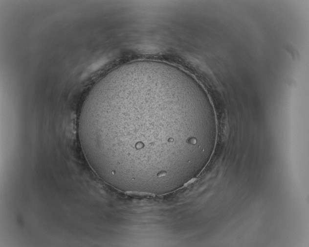 X0000113901301200910081820