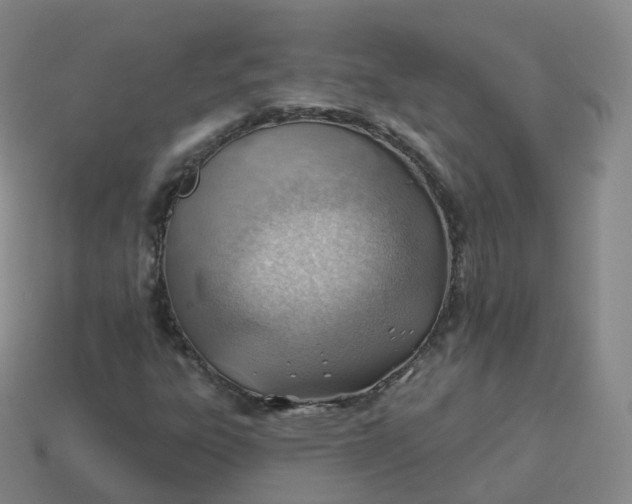 X0000113901303200910081820