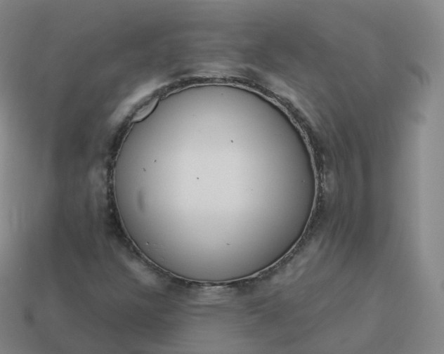 X0000113901304200910081820