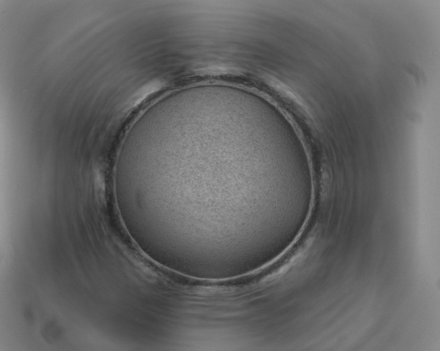 X0000113901305200910081820