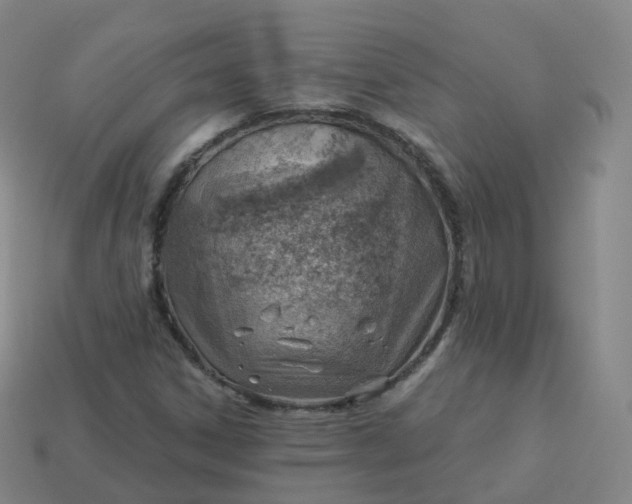 X0000113901306200910081820